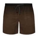 The Lion Of Judah Jesus Reaching Out His Hand Christian Religious Hawaiian Shirt