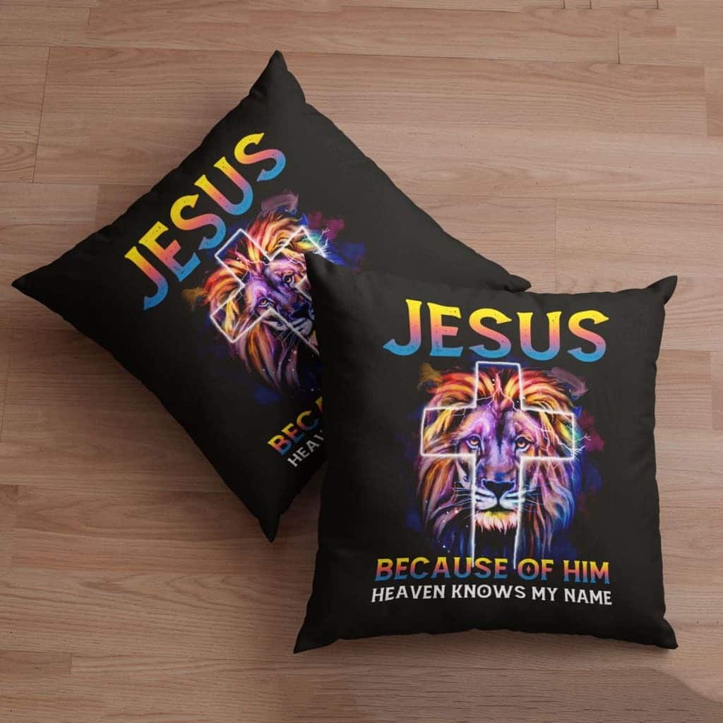 Jesus Because Of Him Heaven Knows My Name Jesuss Pillow Jesus Because Of Him Heaven Knows My Name Jesuss Pillow