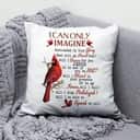 I Can Only Imagine Cardinal Christians Pillow