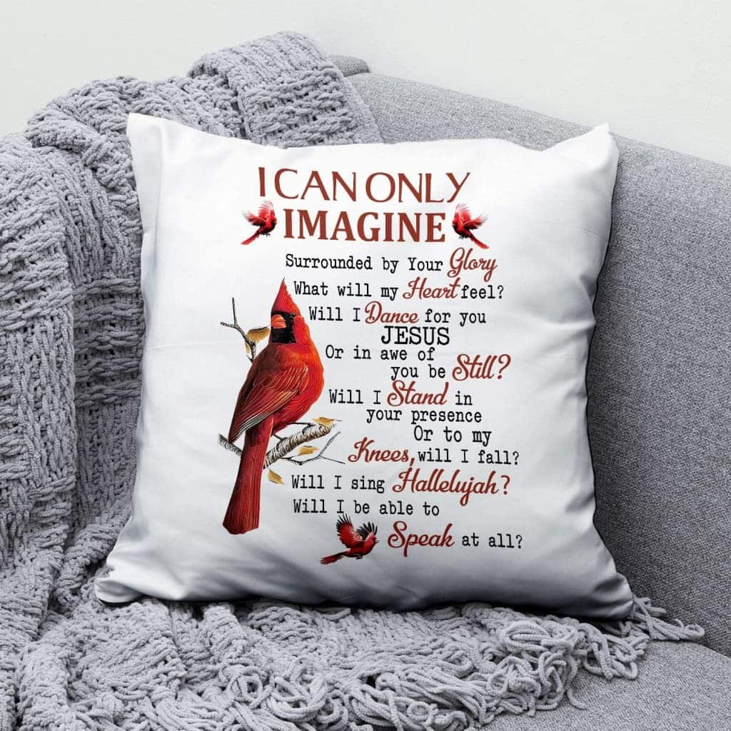I Can Only Imagine Cardinal Christians Pillow I Can Only Imagine Cardinal Christians Pillow