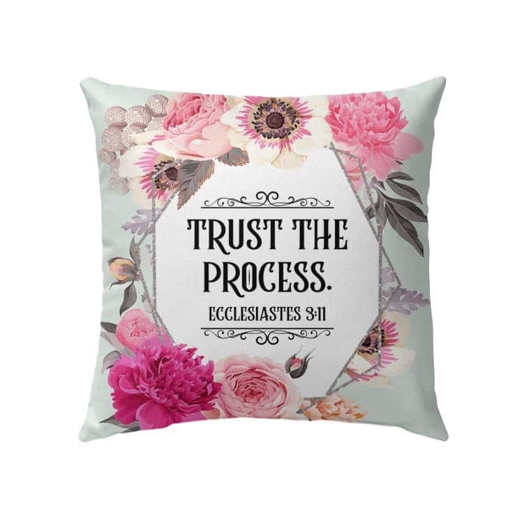 Trust The Process Ecclesiastes 311 Bible Verse Pillow Trust The Process Ecclesiastes 311 Bible Verse Pillow
