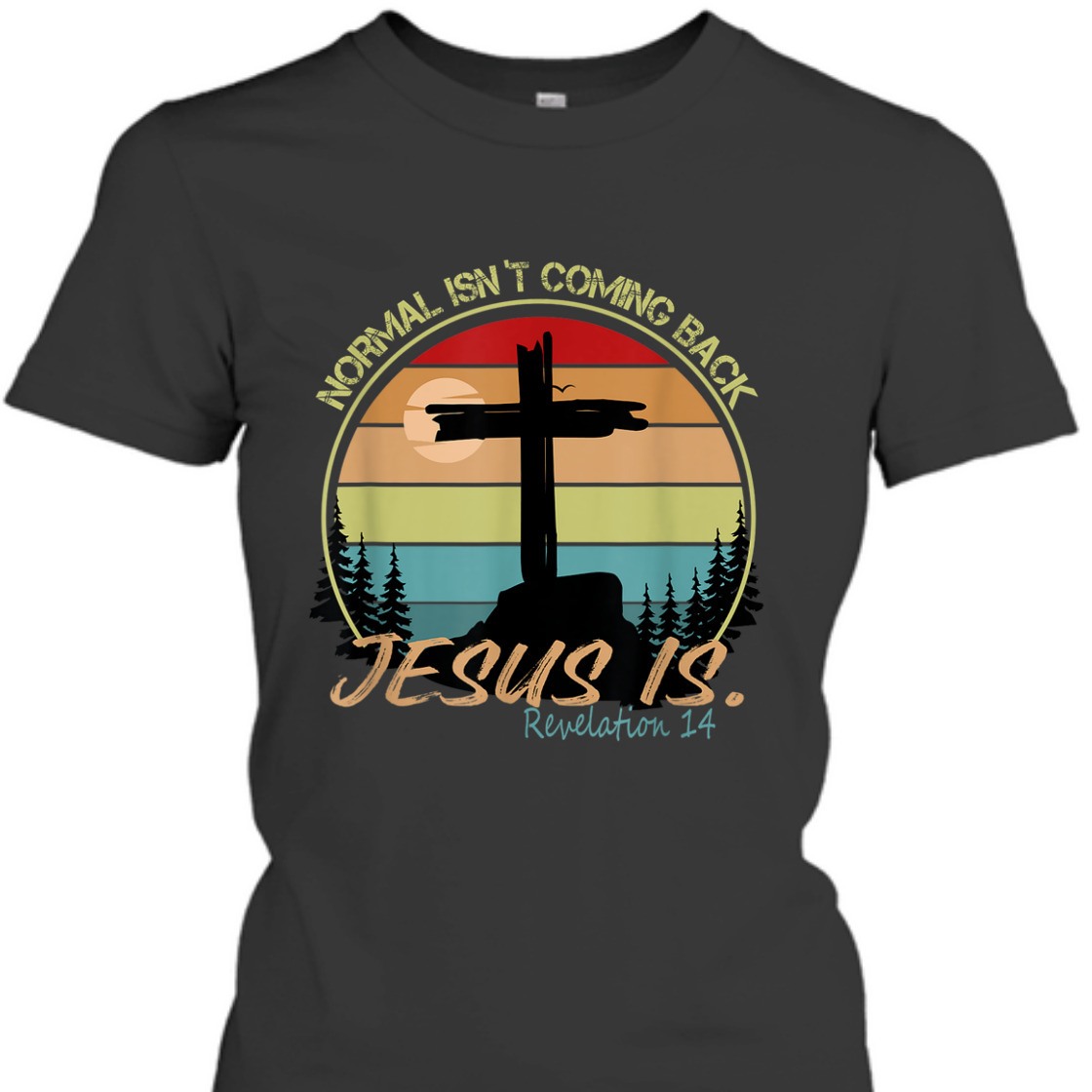 Vintage Bible Verse T-Shirt Normal Isn't Coming Back Jesus Is Revelation 14 Vintage Bible Verse T-Shirt Normal Isn't Coming Back Jesus Is Revelation 14