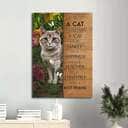 Christian A Cat Is Not Just A Cat Canvas Print Christian A Cat Is Not Just A Cat Canvas Print