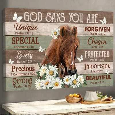 Christian Canvas Wall Art Horse God Says You Are