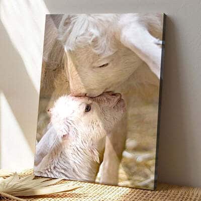 Christian Sheep Canvas Print